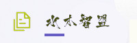 合作伙伴